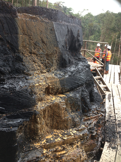 An outcrop of bright coking coal at Cokal’s BBM project, which is characterized  by thick seams.