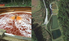 The Science, Funding, and Treatment of Acid Mine Drainage